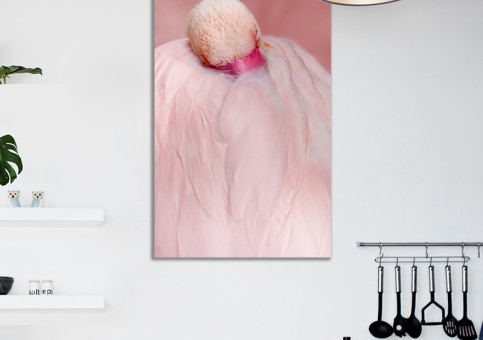 Tableaux personnalisés  Flamant rose