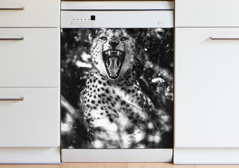 Magnet XXL Portrait de Guépard 