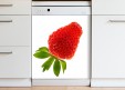 Magnet XXL Fraise